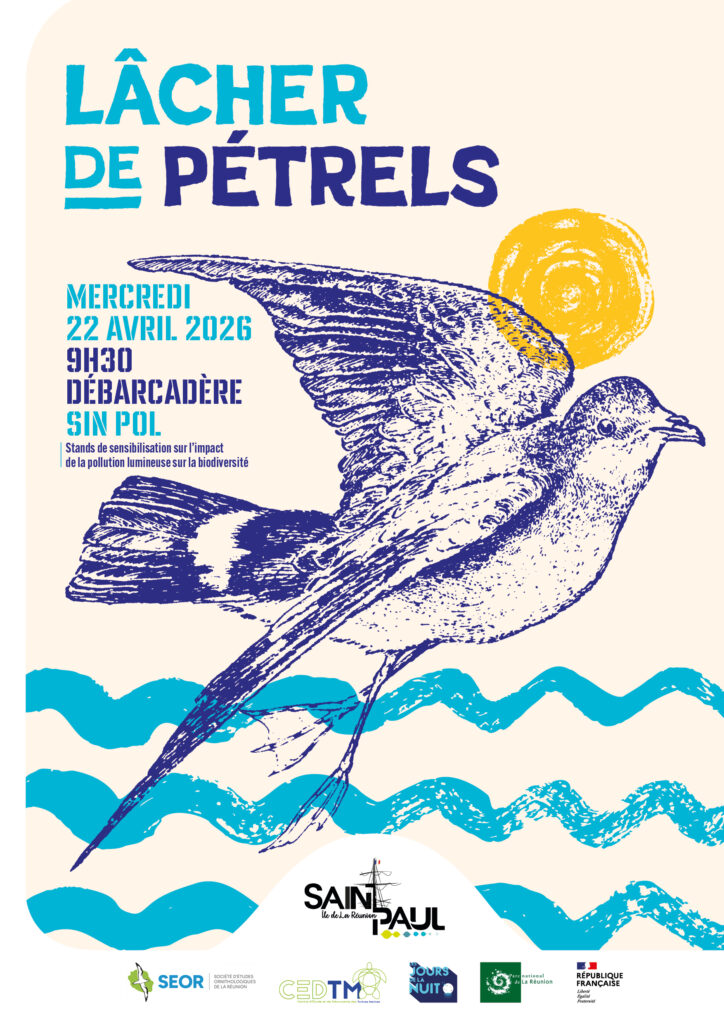Lâcher de pétrels